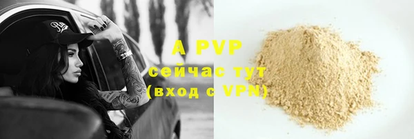 ECSTASY Белокуриха