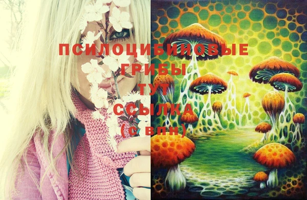 крисы Белоозёрский