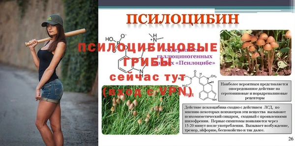 таблы Беломорск