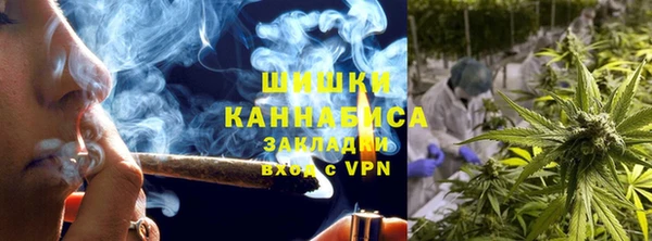ECSTASY Белокуриха