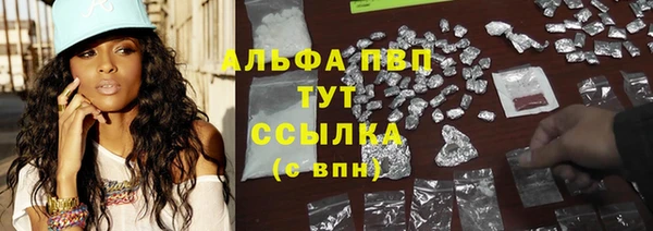 ECSTASY Белокуриха