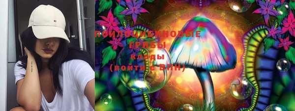ECSTASY Белокуриха