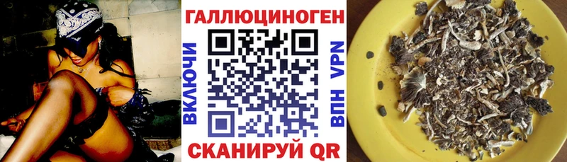 Купить где  Амурск  Псилоцибиновые грибы мухоморы 